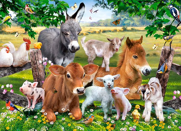 Pussel On the Farm 100 bitar