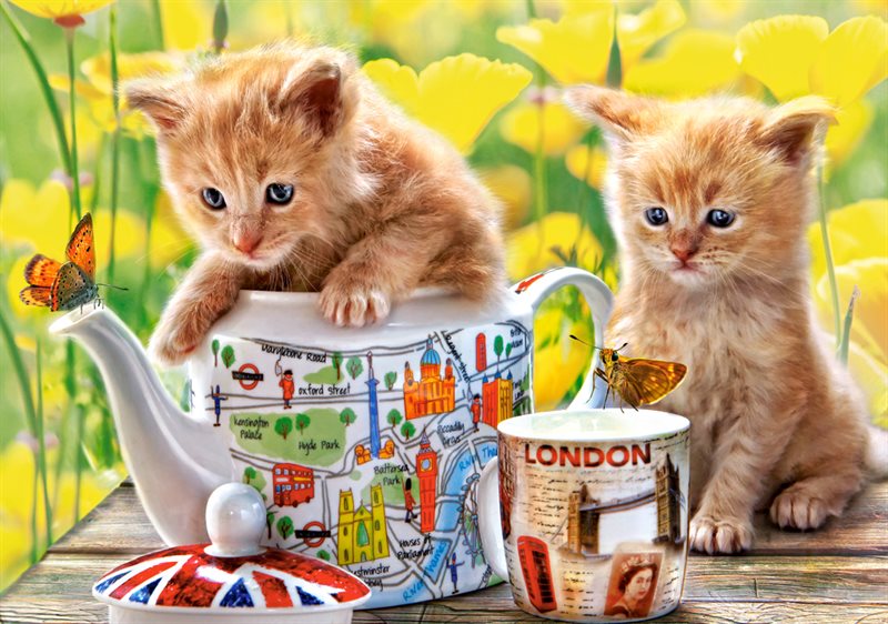 Tea time 500 bitar 