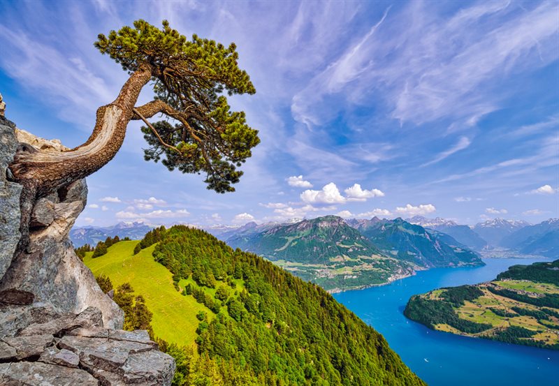 View of the lake of Uri Switzerland 1000 bitar
