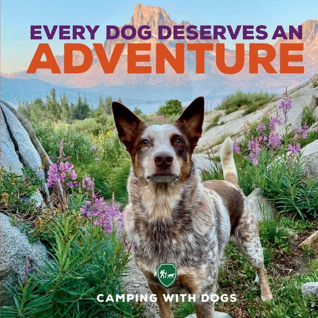 Every Dog Deserves An Adventure