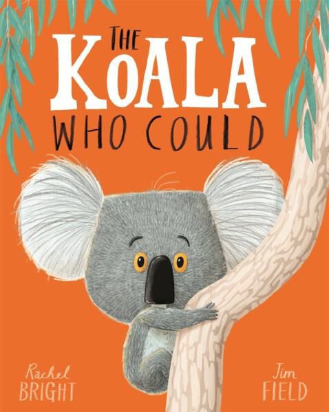 Koala who could