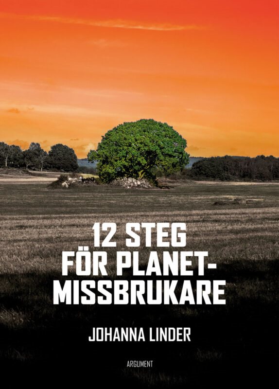 12 steg för planetmissbrukare