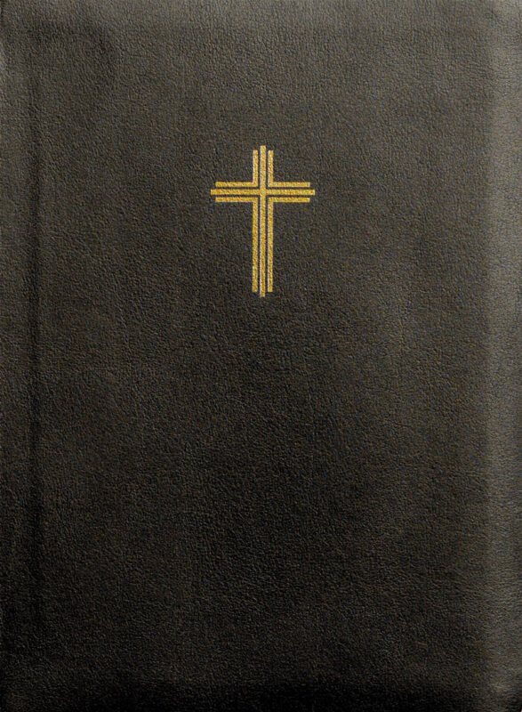 Bibel 2026 (svart) konstskinn med noter