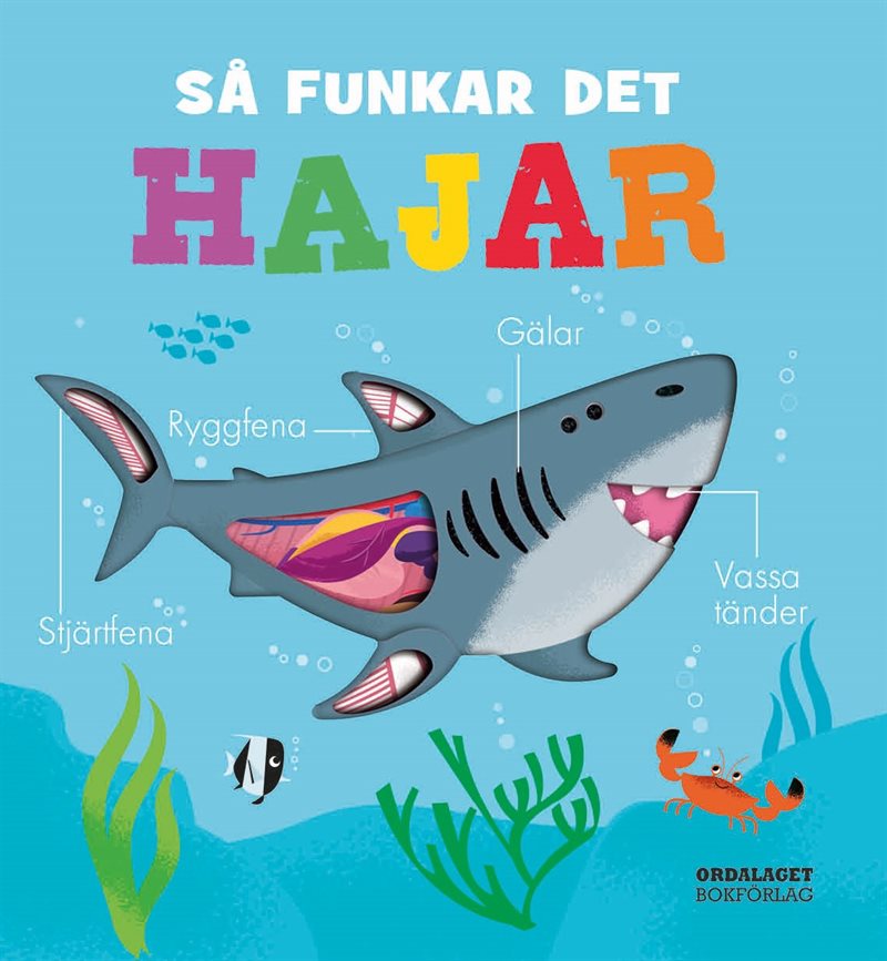 Så funkar det : Hajar
