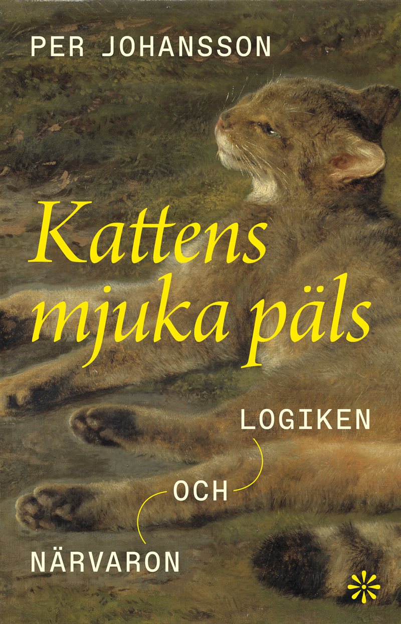Kattens mjuka päls: Logiken och närvaron