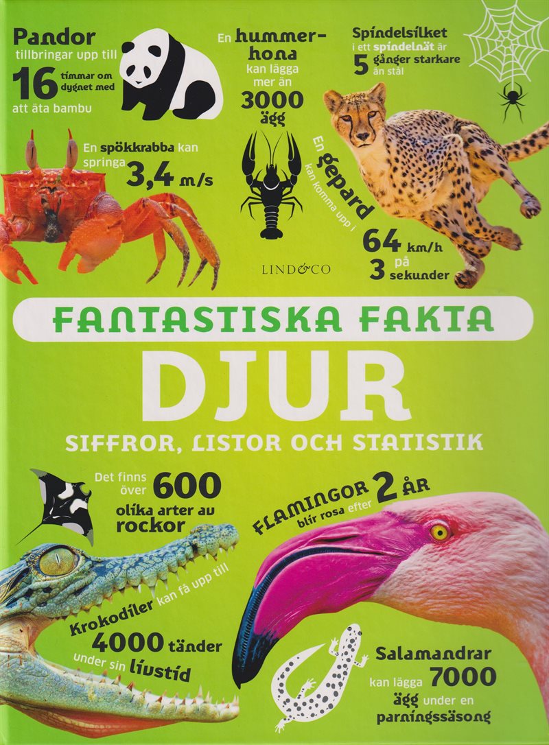 Fantastiska fakta. Djur : siffror, listor och statistik