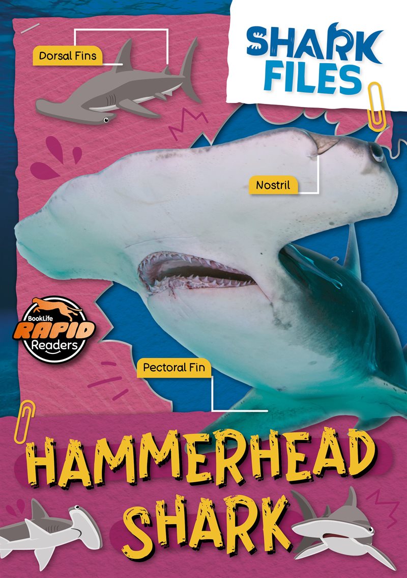 Hammerhead shark
