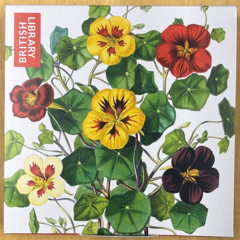 British library mini notecards
