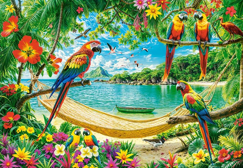 Exotic place for you 1000 bitar