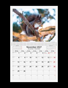 Väggkalender Sverige Natur Almanacksförlaget