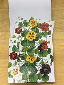 British library mini notecards